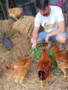 Zöldtakarmány etetése - Nők Lapja