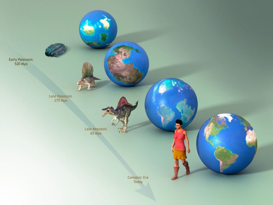 hihetetlen-evolucios-felfedezes-prototaxitas - Nők Lapja