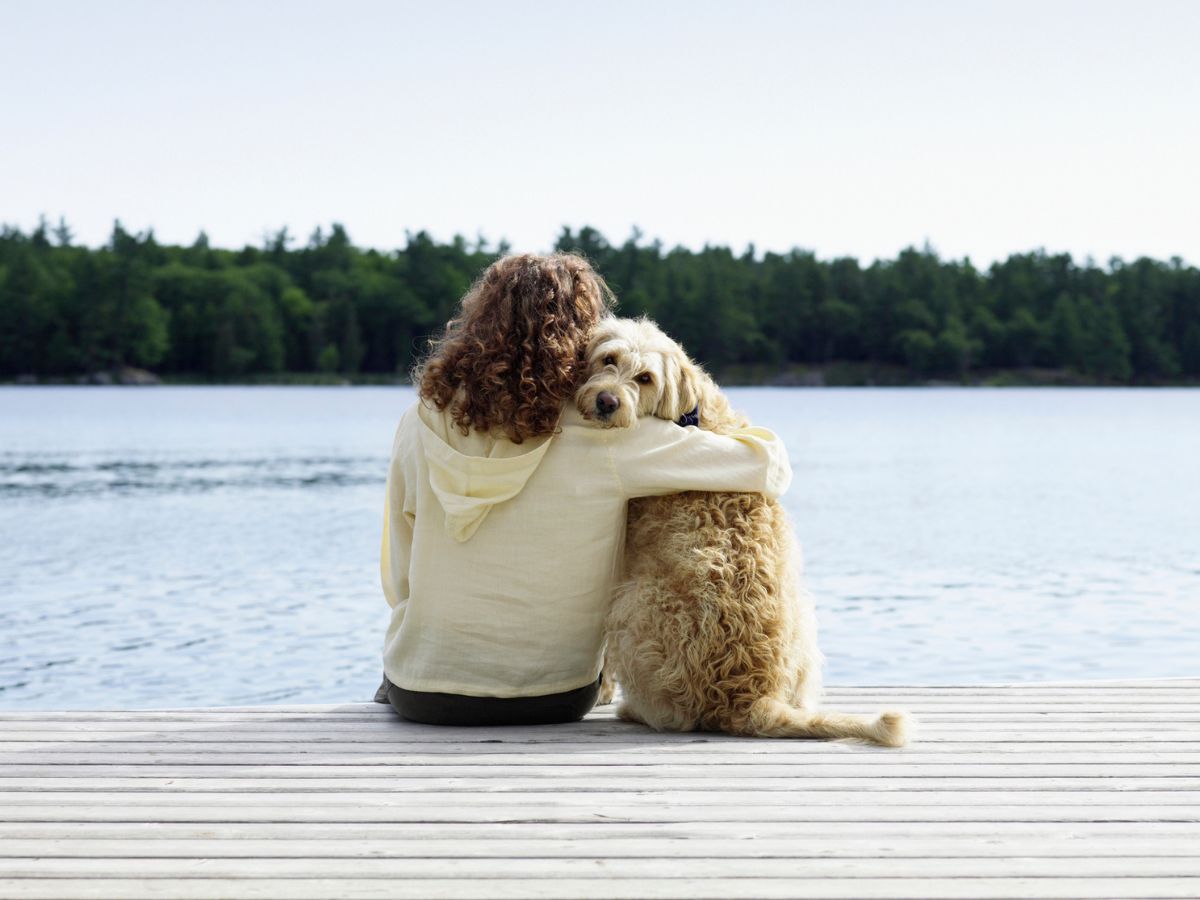 kutya nő vízpart móló természet