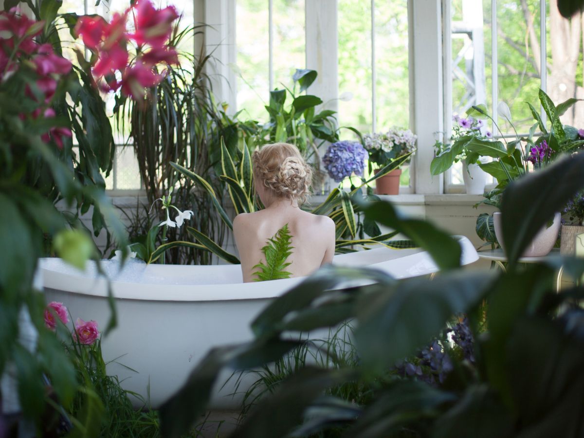 5 legjobb növény fürdőszobába párakedvelő