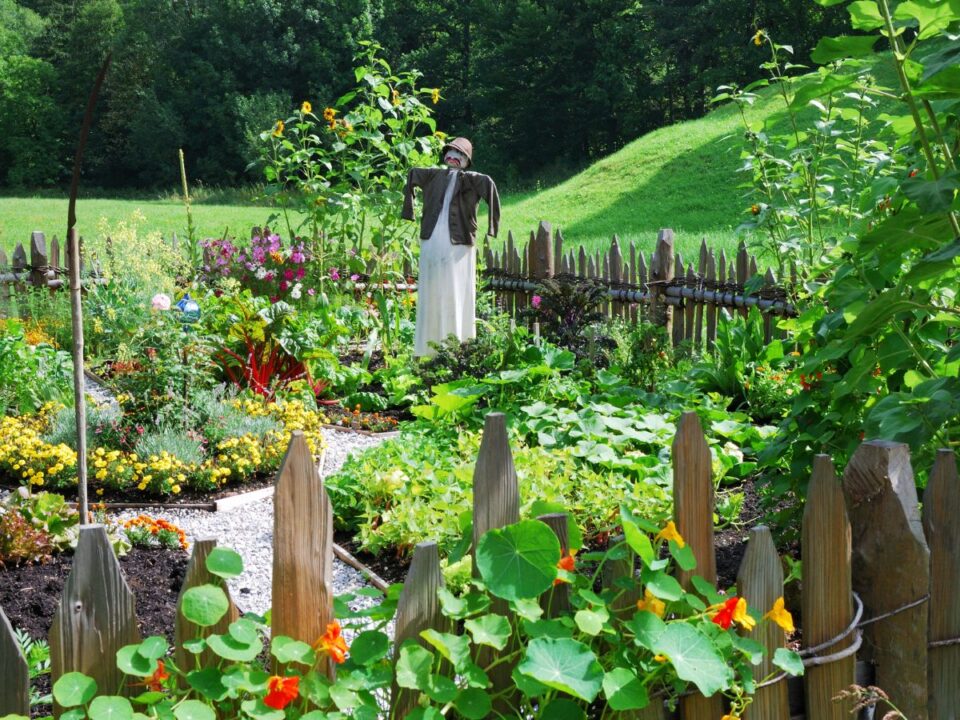talajrombolo-veszelyes-kerti-fak - Nők Lapja kerti fák virág