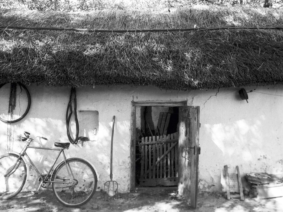 Kultúra - Film - Pipás Pista című film forgatási helyszíne - Nők Lapja