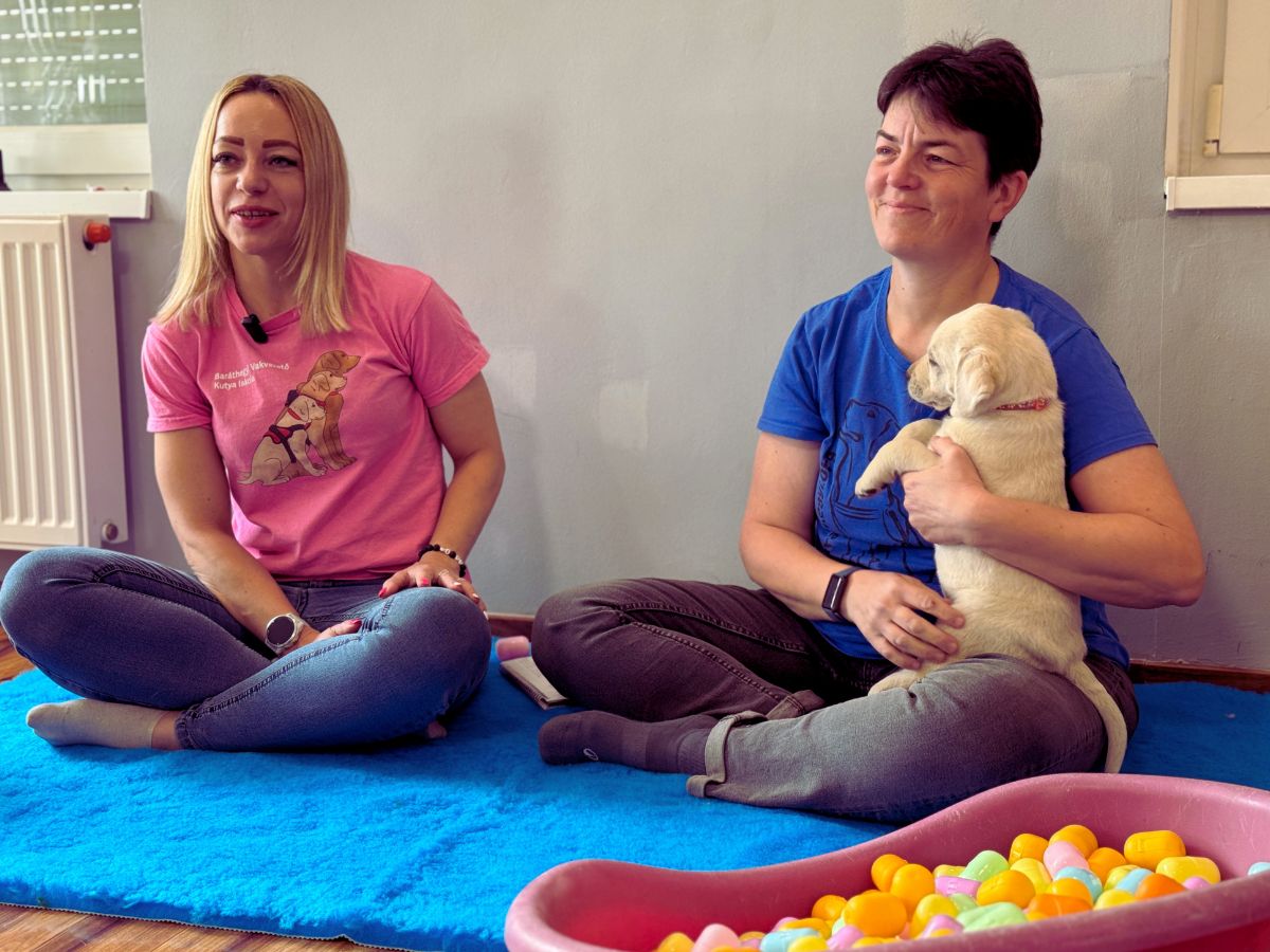 barathegyi_canva - Nők Lapja