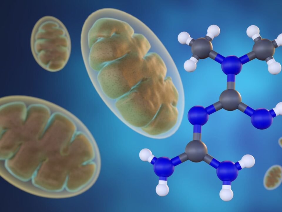 cukorbetegseg-gyogyszer-agymukodes - Nők Lapja A metformin és a mitokondriumok molekuláris szerkezete