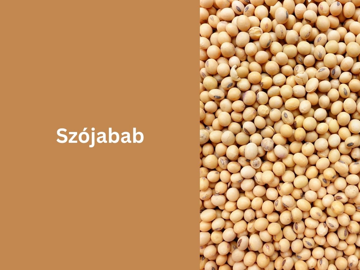 Szójabab