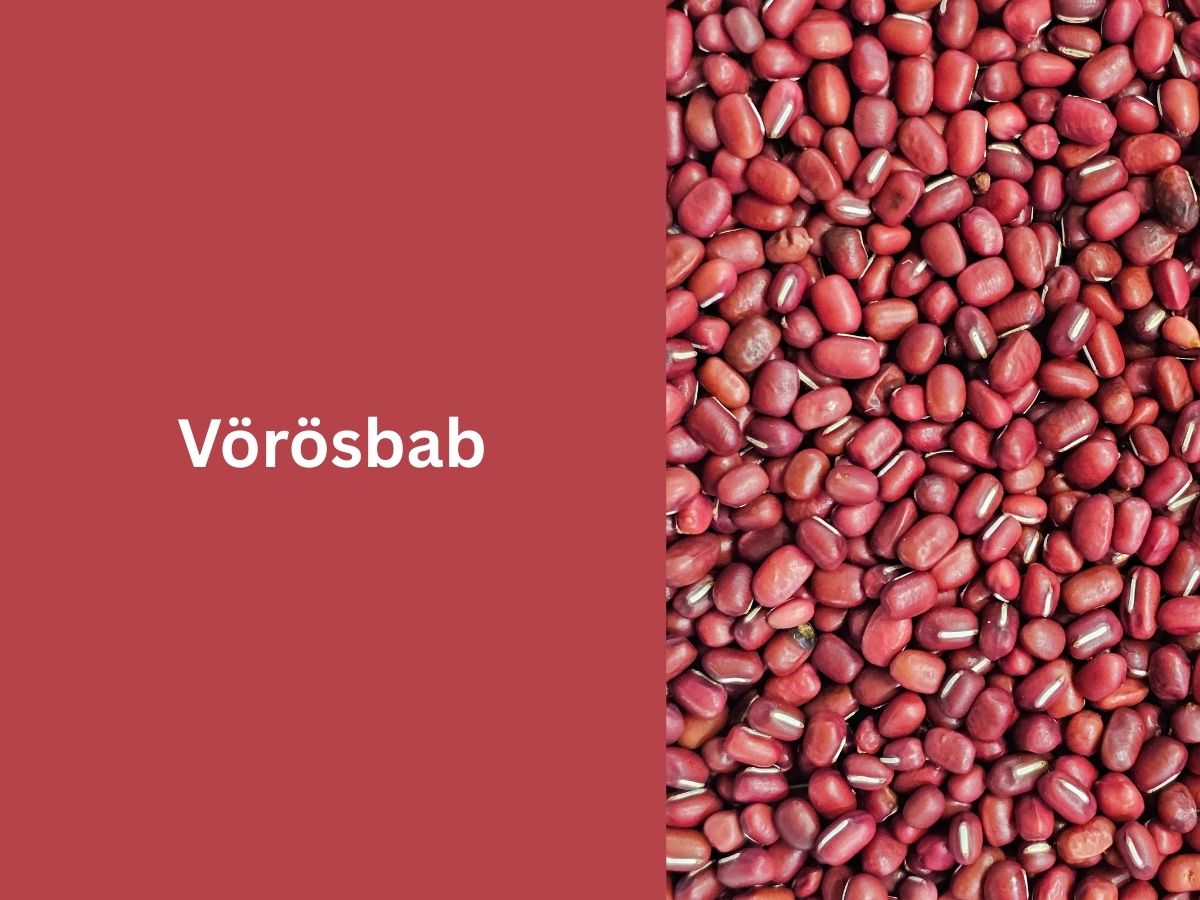 Vörösbab