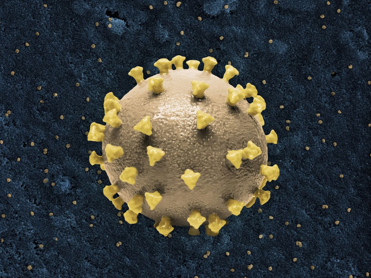 Számítógépes grafika a cicada nevű covid-variánsról fekete háttéren sárga vírus, élénksárga tüskékkel