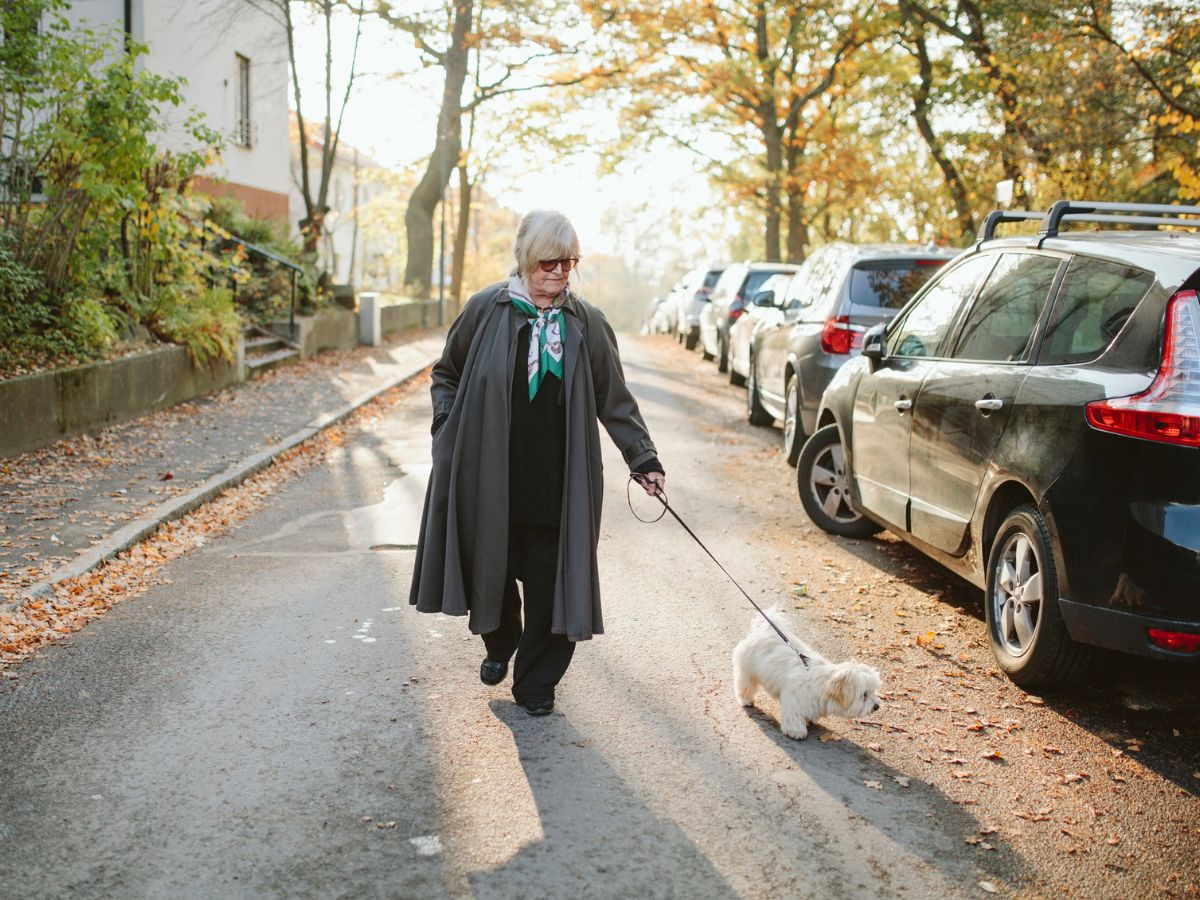 középkorú nő ballonkabátban reggel kutyát sétáltat az utcán