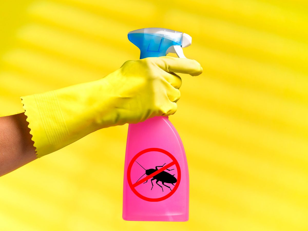 spray, amiben csótányirtó szer van