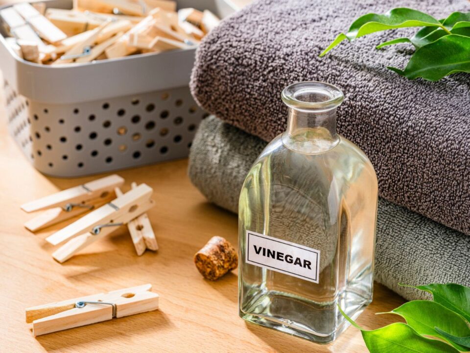 ecet-oblito-helyett - Nők Lapja ecet használata a mosásban