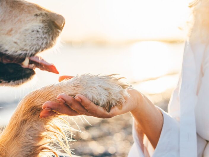 nő és kutyája a tengerparton
