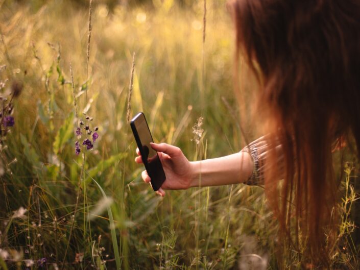 nő mezei virágot fotóz