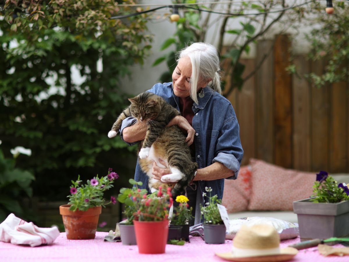 csinos őszhajú nő macskája társaságában kertészkedik