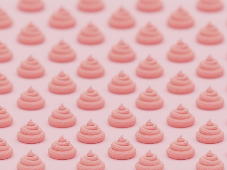 uj-orulet-wc-fronton