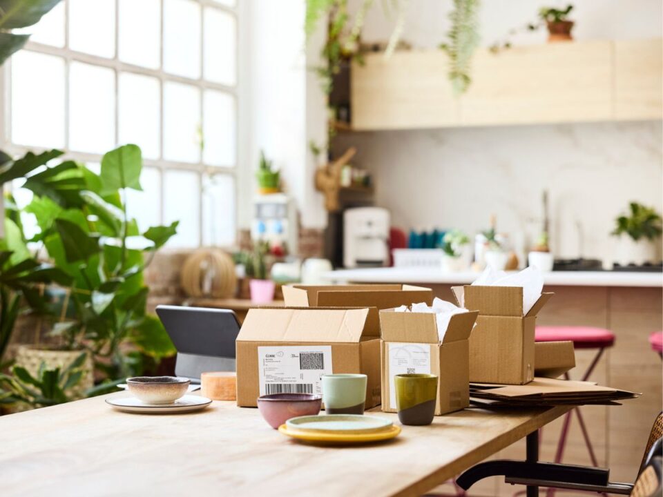 postacsomag-ne-tedd-asztalra - Nők Lapja postacsomag asztal rovarok kártevők