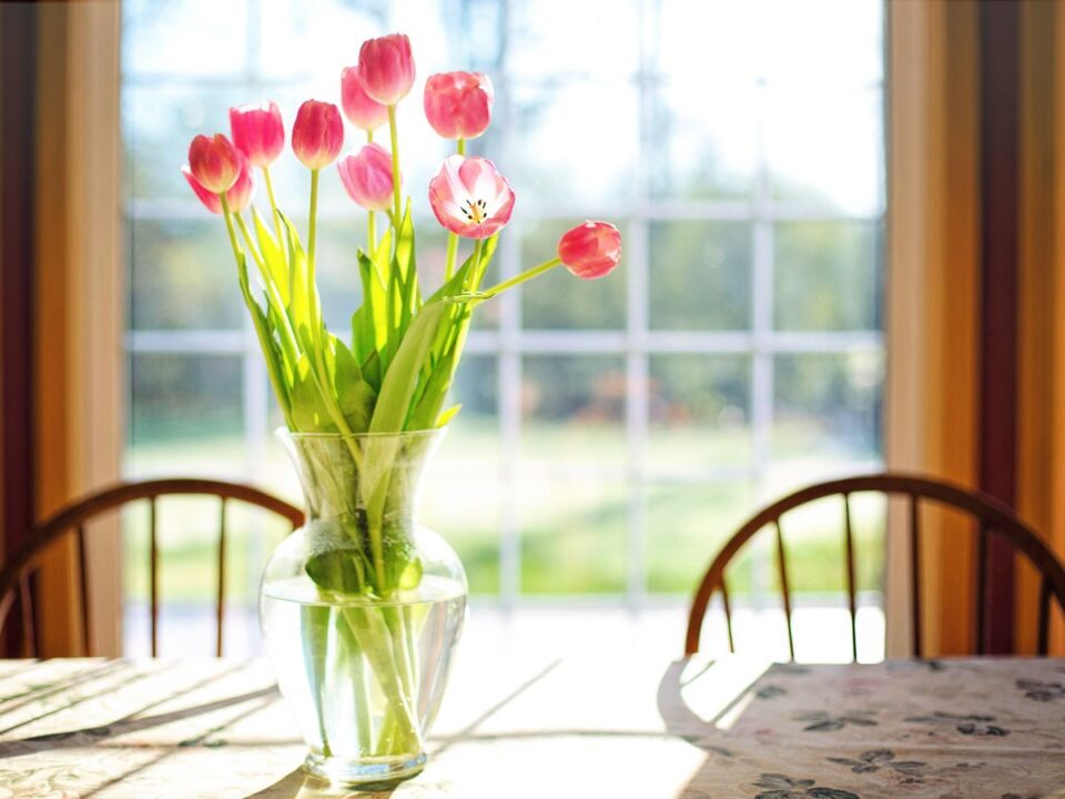 Világos szobában, ablak előtt áll egy üvegvázában elrendezett rózsaszín tulipáncsokor. A napfény átszűrődik a szirmokon, a háttérben fa székek és kerti látvány sejlik fel.
