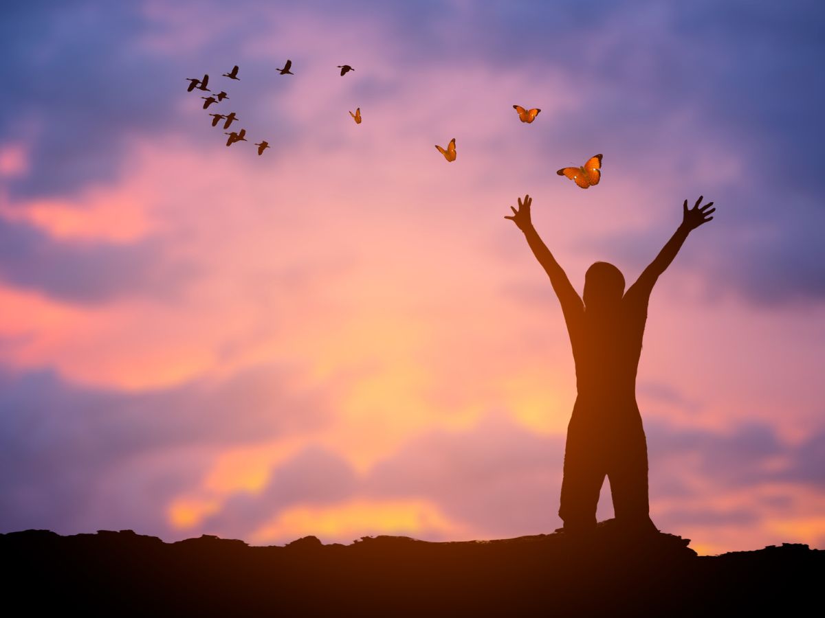 repülő pillangók és boldogság