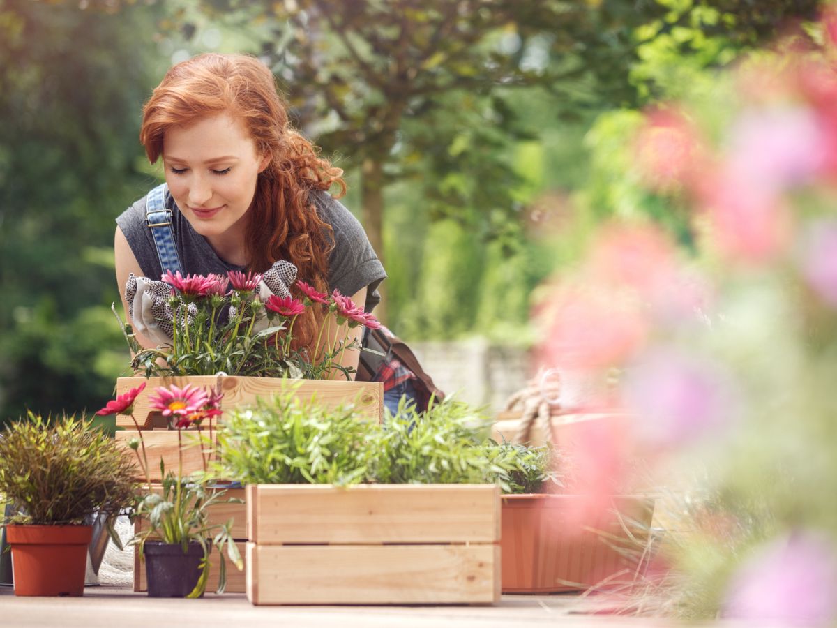 nő kertészkedik a napon a kertjében