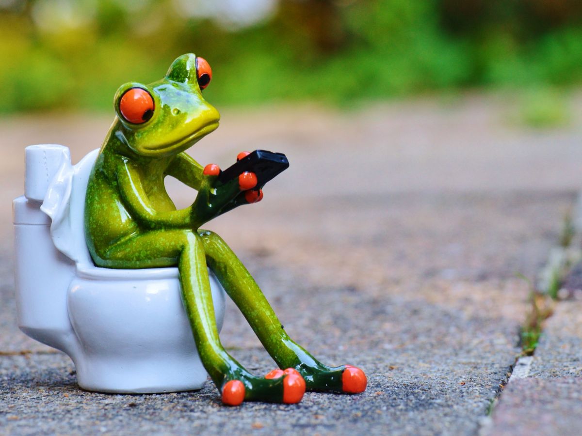 Szoborkompozíció: vidám, zöld béka ül egy vécén, a kertben
