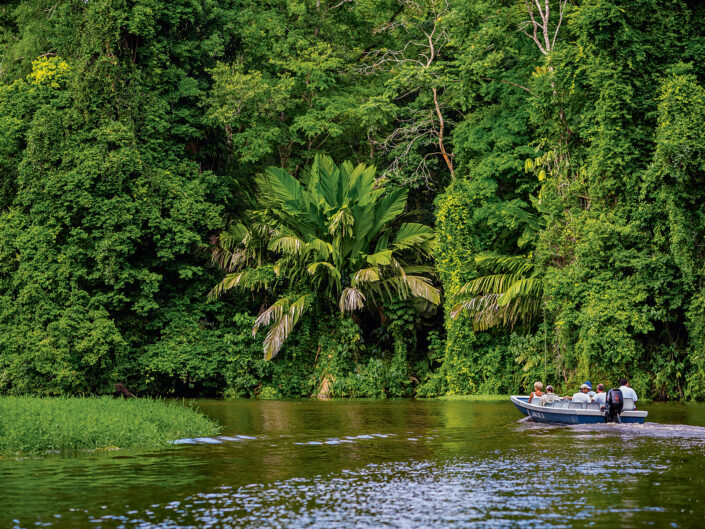 tortuguero nemzeti park