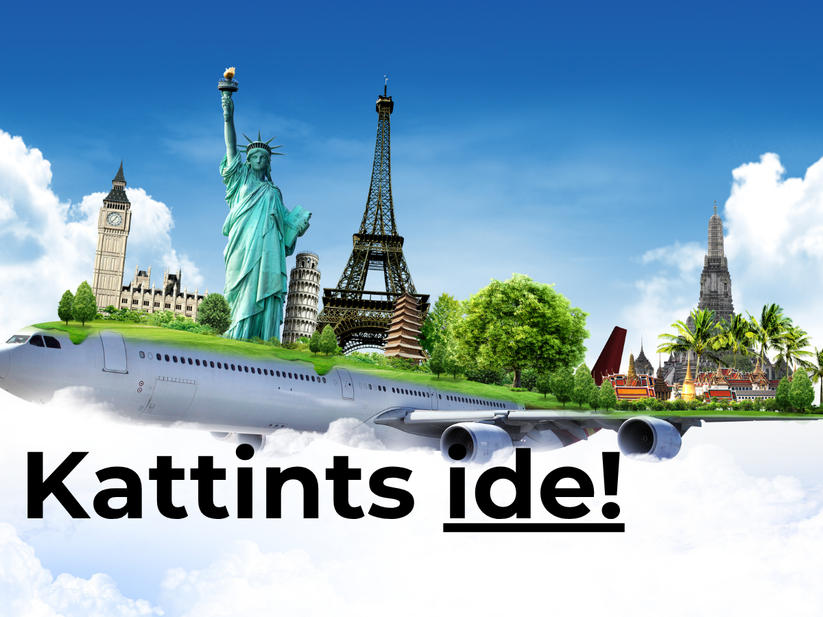 utazás külföld udvariatlanság