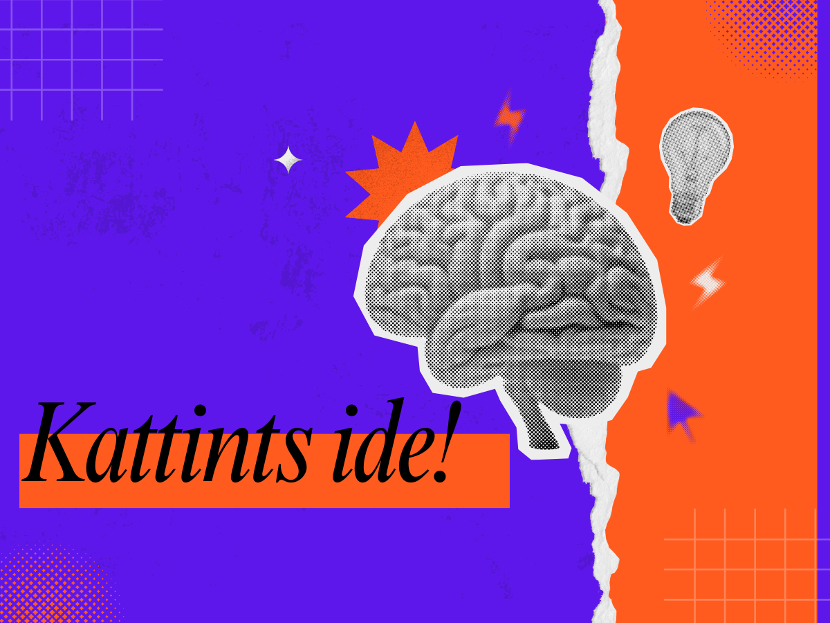 neurofitnesz gyakorlatok