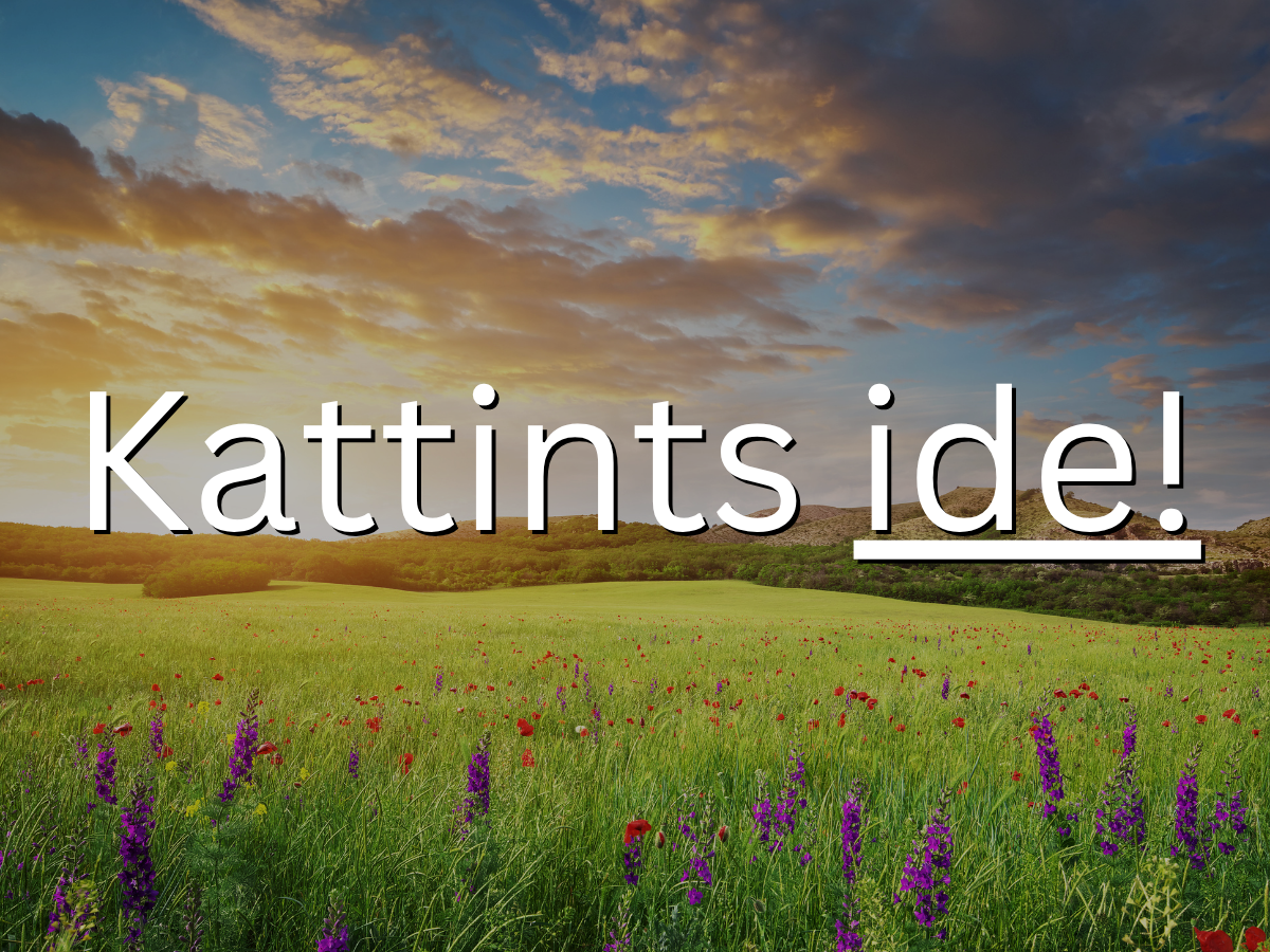 szuperérzékenység jelei