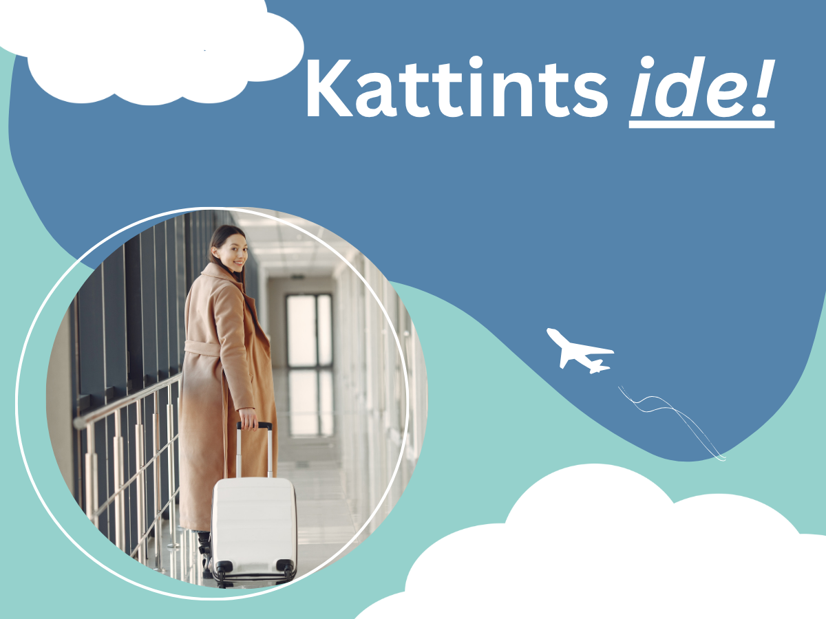 vásárlásösztönző trükkök reptér repülőtér