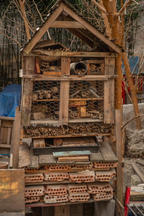 NGA_4141 - Nők Lapja