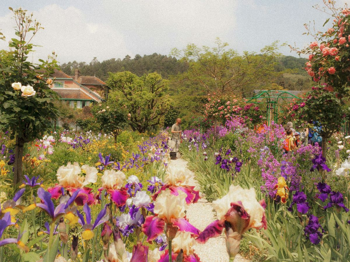 színpompás tavaszi kert