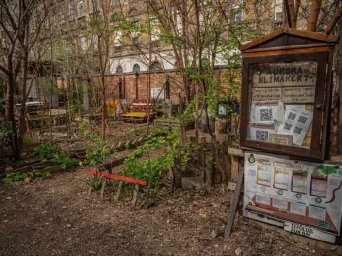 belvárosi közösségi kert