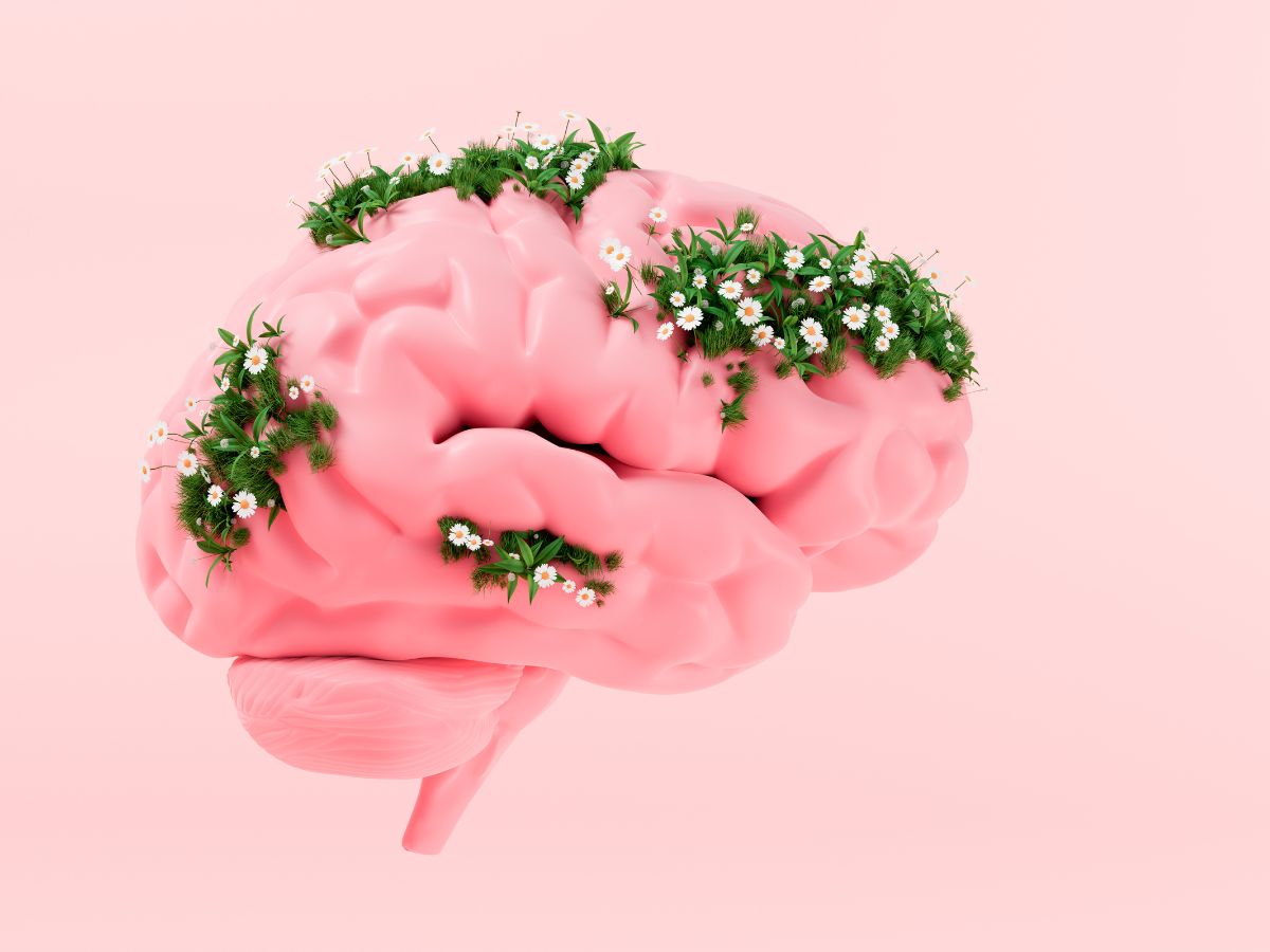 Számítógépes grafika, rózsaszín háttéren agy, a tekervények között zöld, virágos részekkel