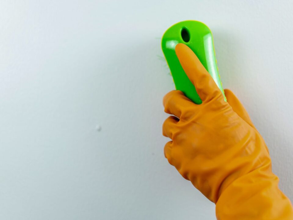 fehér fal tisztítása