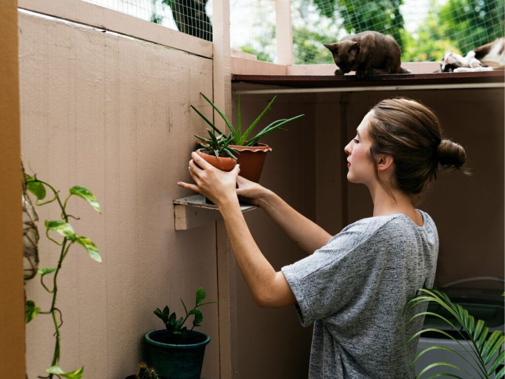 Nő a szobanövényeit gondozza