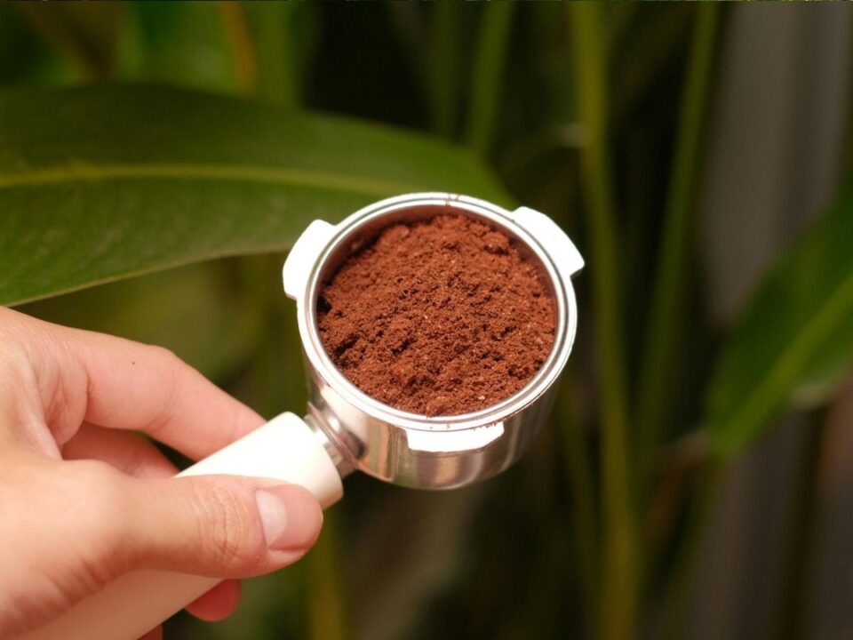 őrölt kávé tartóban háttérben növény