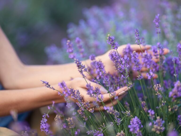 A levéltetvek rémálma: ezt ültesd a kertbe most - Nők Lapja