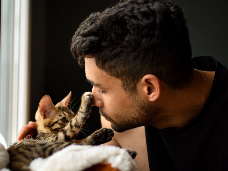 macska-simogatas-hibak - Nők Lapja Egy férfi közel hajol egy fekvő kiscicához, miközben az mancsával finoman az arcához ér. A cica a hátán fekszik, a helyzet egyszerre tűnik játékosnak és kissé határfeszegetőnek.