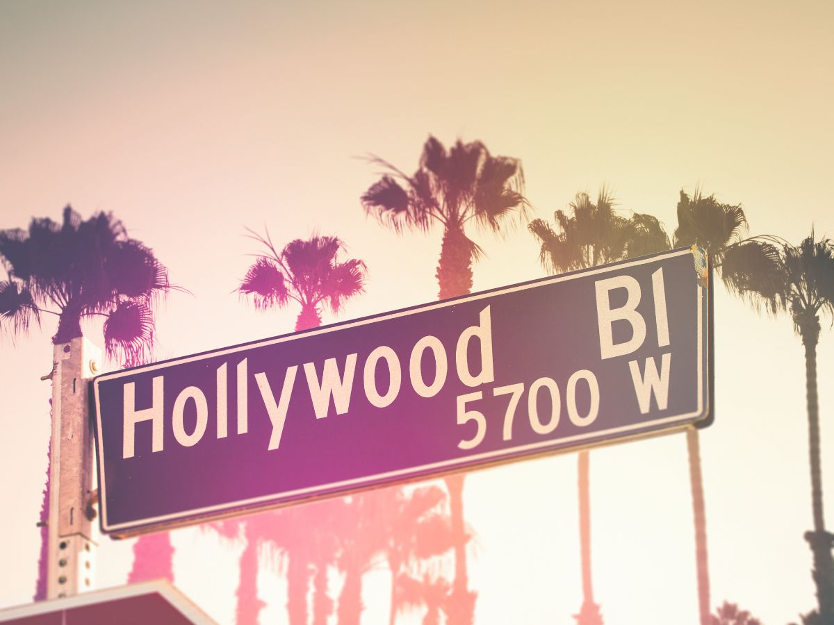 Retró hangulatú rózsaszín fényhatású Hollywood Bl tábla pálmafákkal