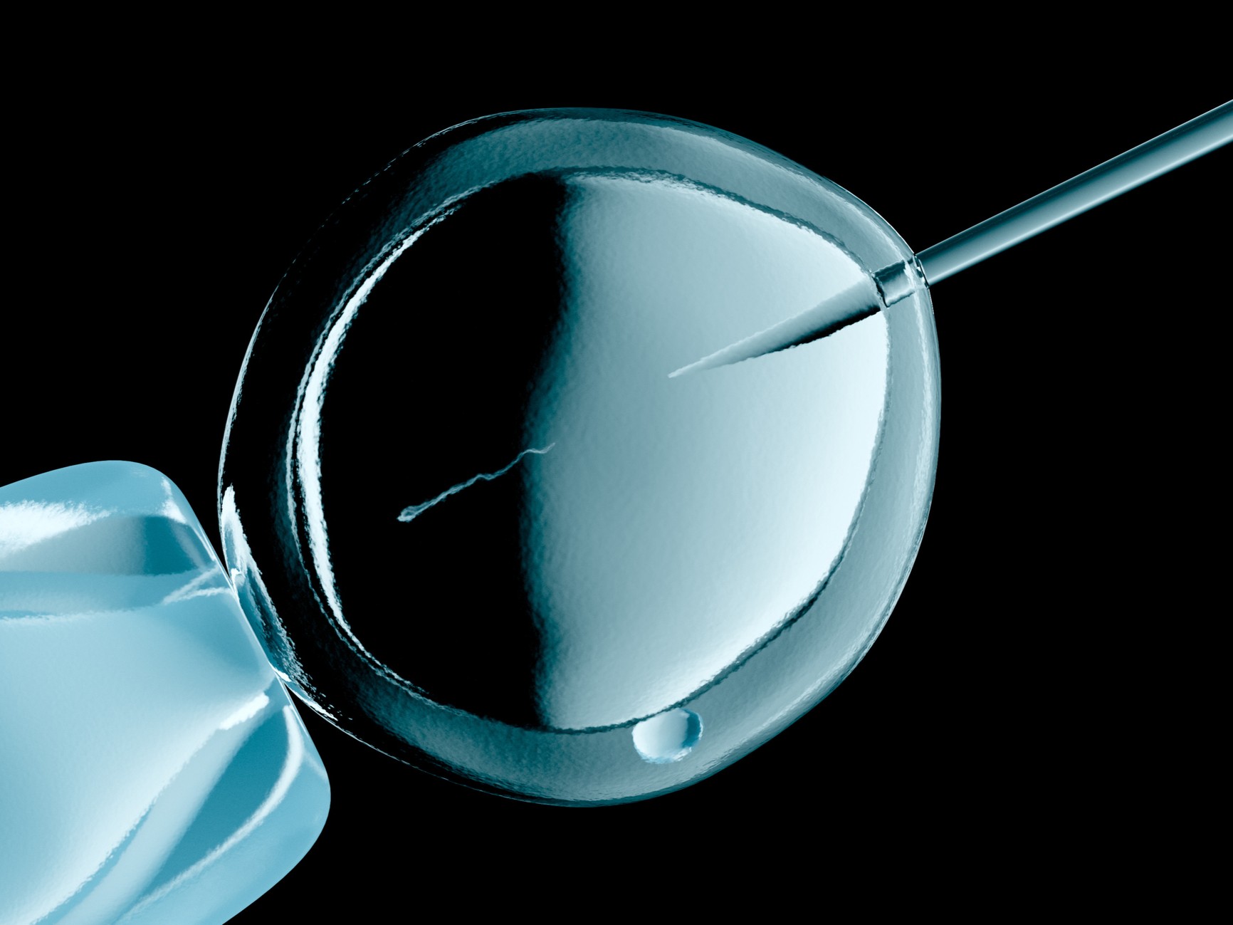 IVF eljárás