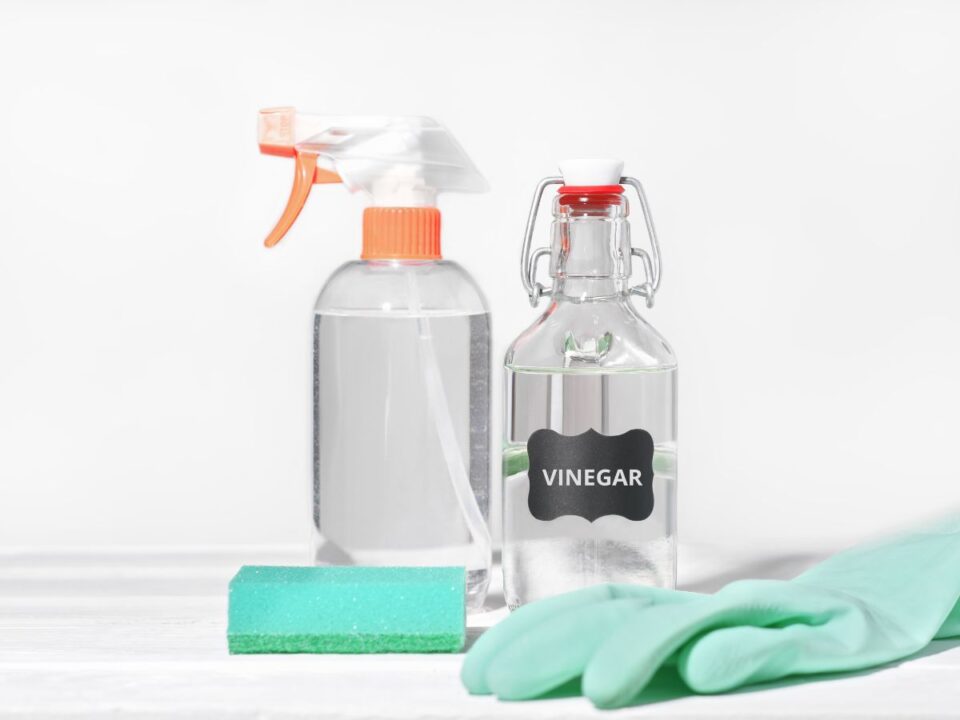 feher-ecet - Nők Lapja vinegar feliratú csatos üveg mellette spray flakon az előtérben zöld szivacs és gumikesztű