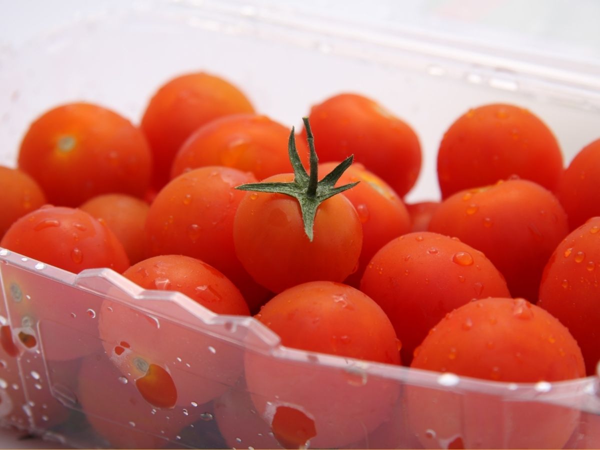 Paradicsomok közeli képen hűtőszekrényben