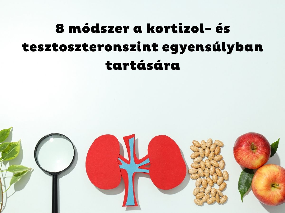 Világoskék háttér, papírból kivágott egészséggel kapcsolatos tárgyak, nagyító, vesék, kortizolhormon, alma