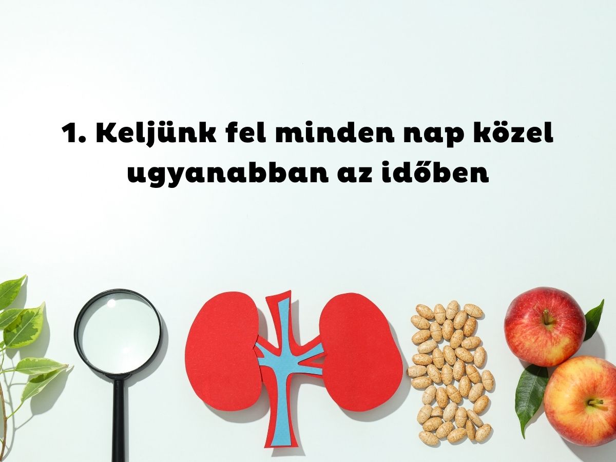 Világoskék háttér, papírból kivágott egészséggel kapcsolatos tárgyak, nagyító, vesék, kortizolhormon, alma