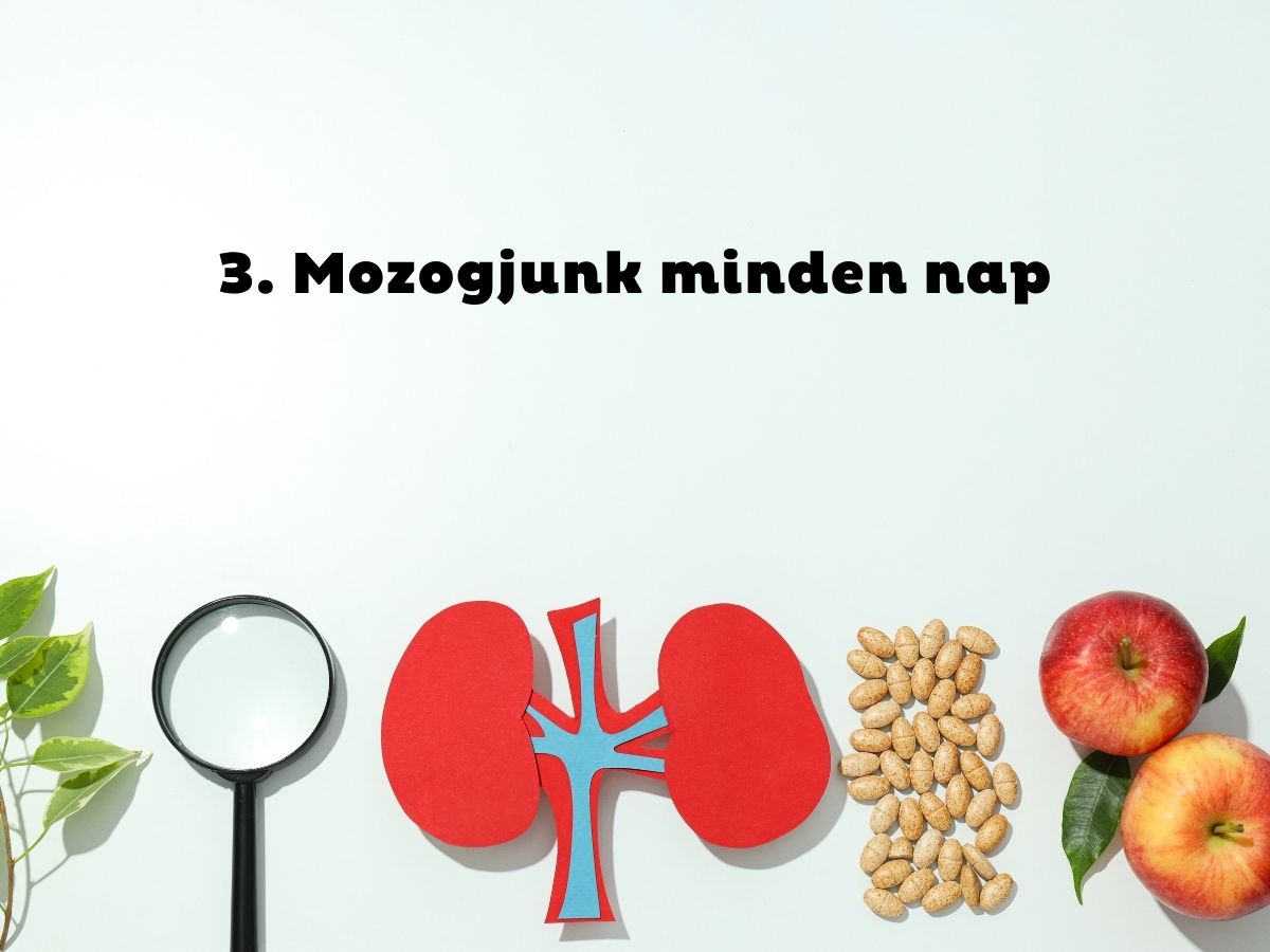 Világoskék háttér, papírból kivágott egészséggel kapcsolatos tárgyak, nagyító, vesék, kortizolhormon, alma