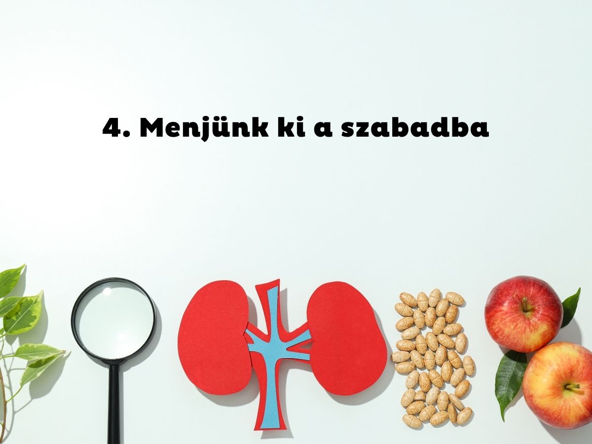 Világoskék háttér, papírból kivágott egészséggel kapcsolatos tárgyak, nagyító, vesék, kortizolhormon, alma