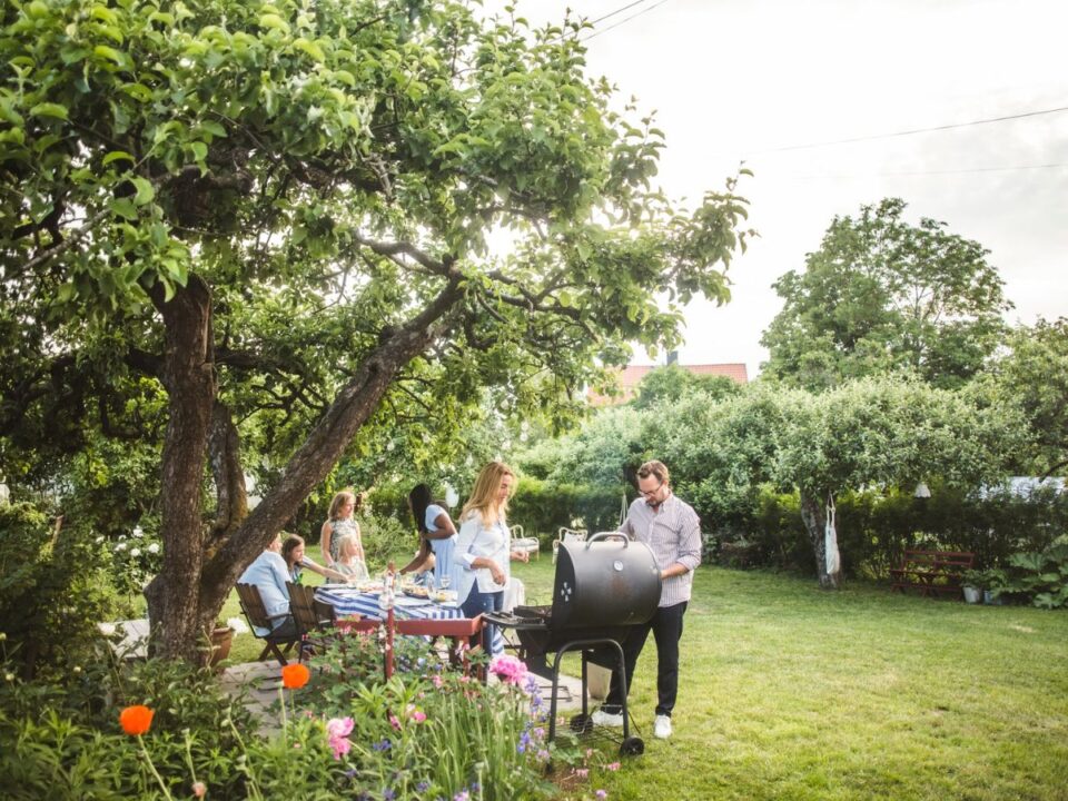 egy-pillanat-muve-jegyzet-1 - Nők Lapja családi grillezés nyáron kertben