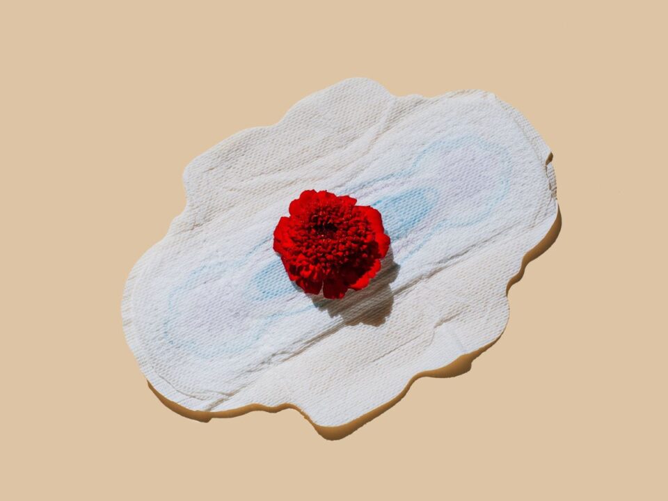 menstruacios-ver-szine-egeszseg - Nők Lapja Menstruációs betét piros virággal bézs háttér előtt