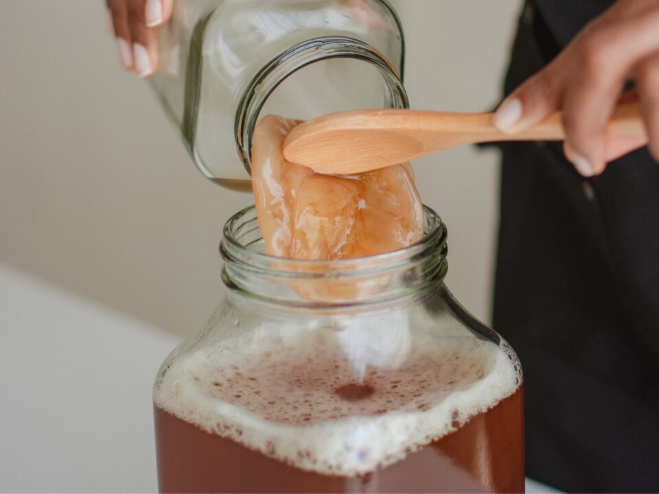 SCOBY, kombucha 
