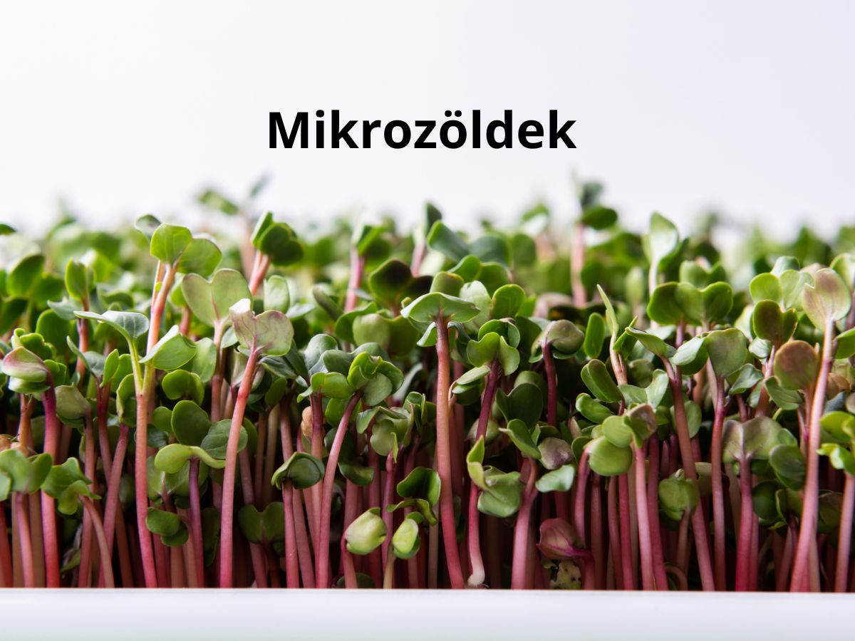 szuperfood-otthon-konyhakert - Nők Lapja szuperfood otthon konyhakert