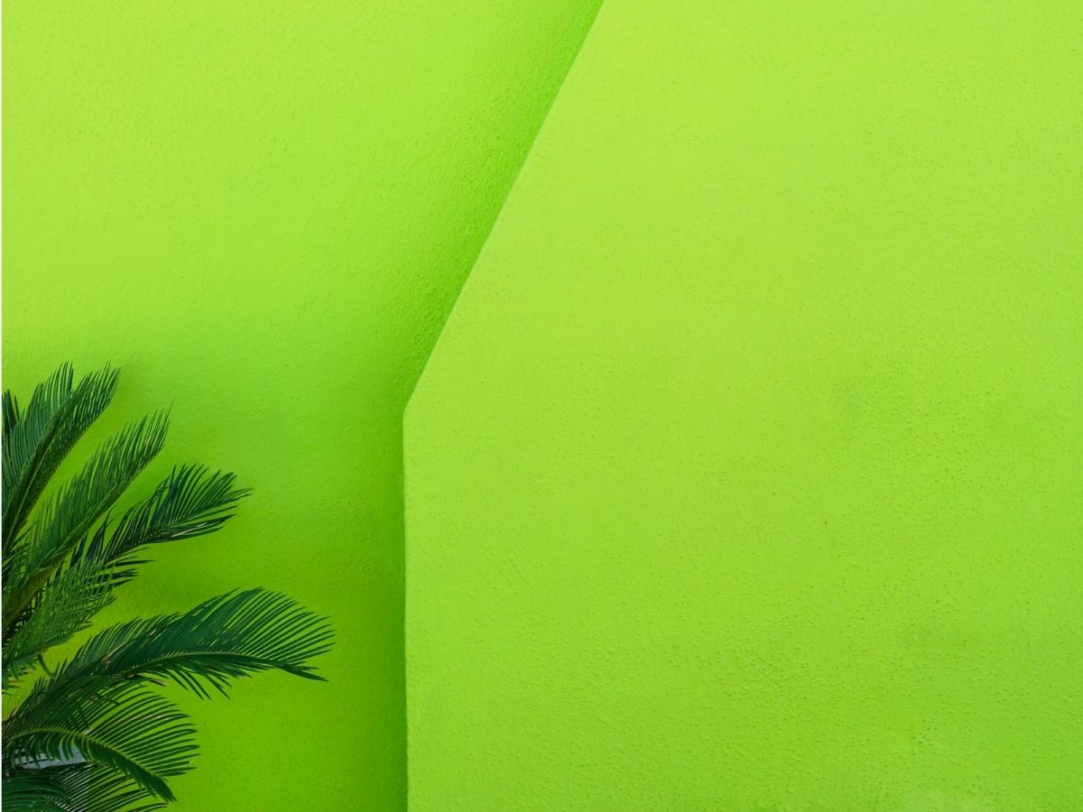 3. A neonzöld megosztó falszín - Nők Lapja Neon zöld fal belógó szobanövénnyel